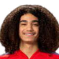 https://img.anami.cn/img/football/player/87359ed9061cfd73513d827263deebcd.png